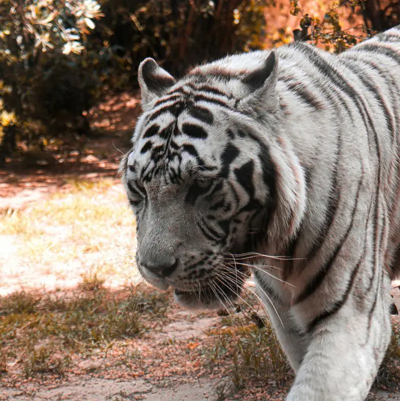 Consignas Equipaje Jardim Zoológico