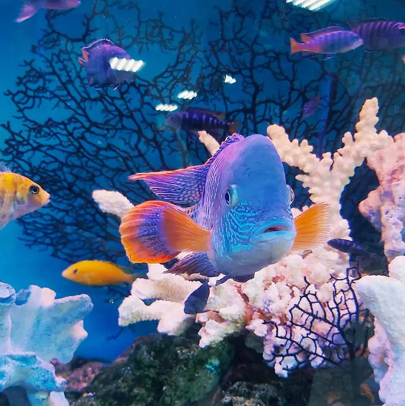 Consignas Equipaje acuario de Lisboa