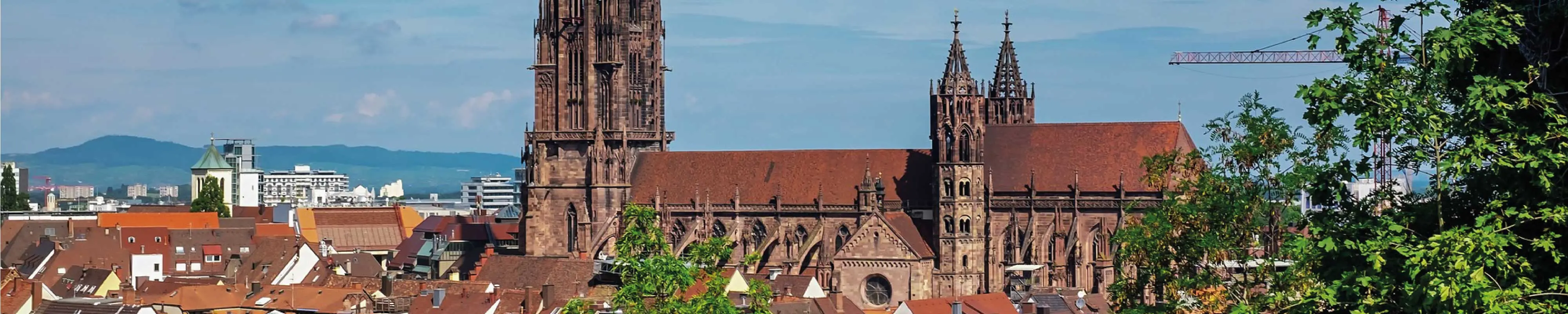 Consignas Equipaje Münster