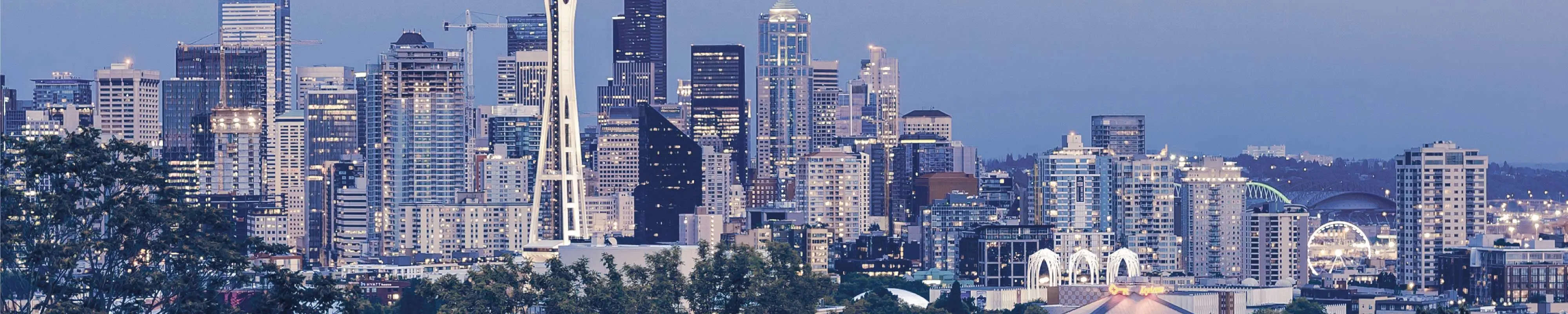 Luggage Storage Seattle